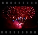 video austrelitz 2019